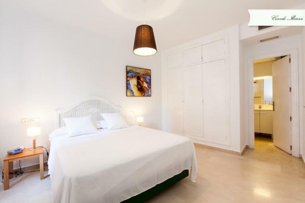 Conde De Ibarra Apartment Sevilla Exterior foto